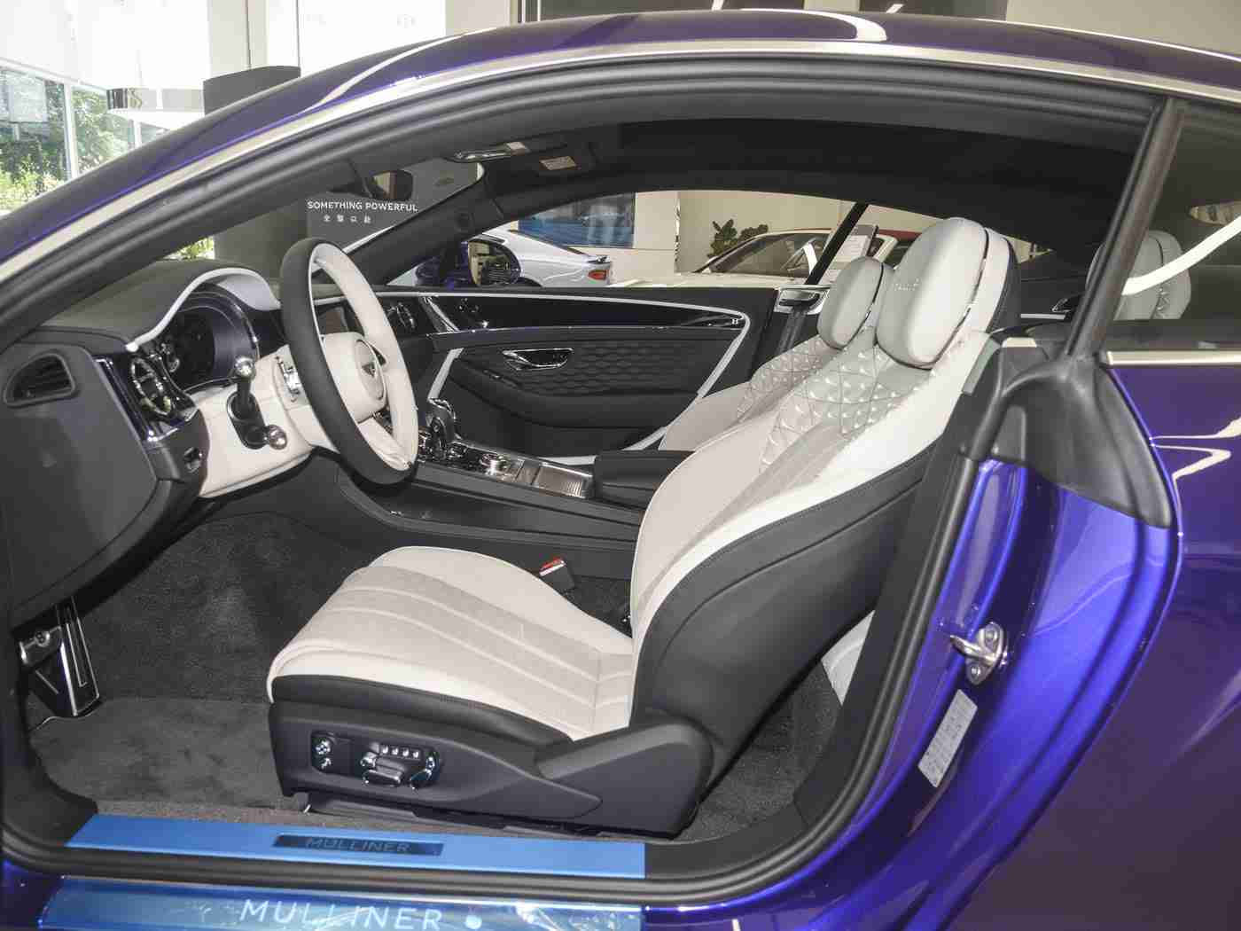 农村野外树林BBW,越野巅峰，舒适驾驭：BBW汽车引领农村野外树林新潮流-1