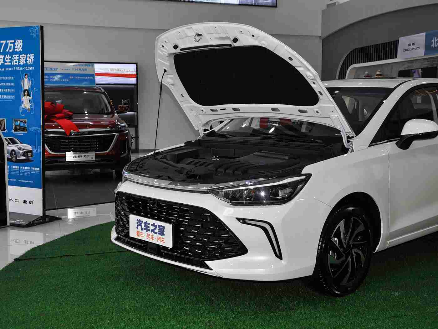 小时候农村树林日B,新能源汽车助力农村繁荣，绿色出行成农村新风尚-5