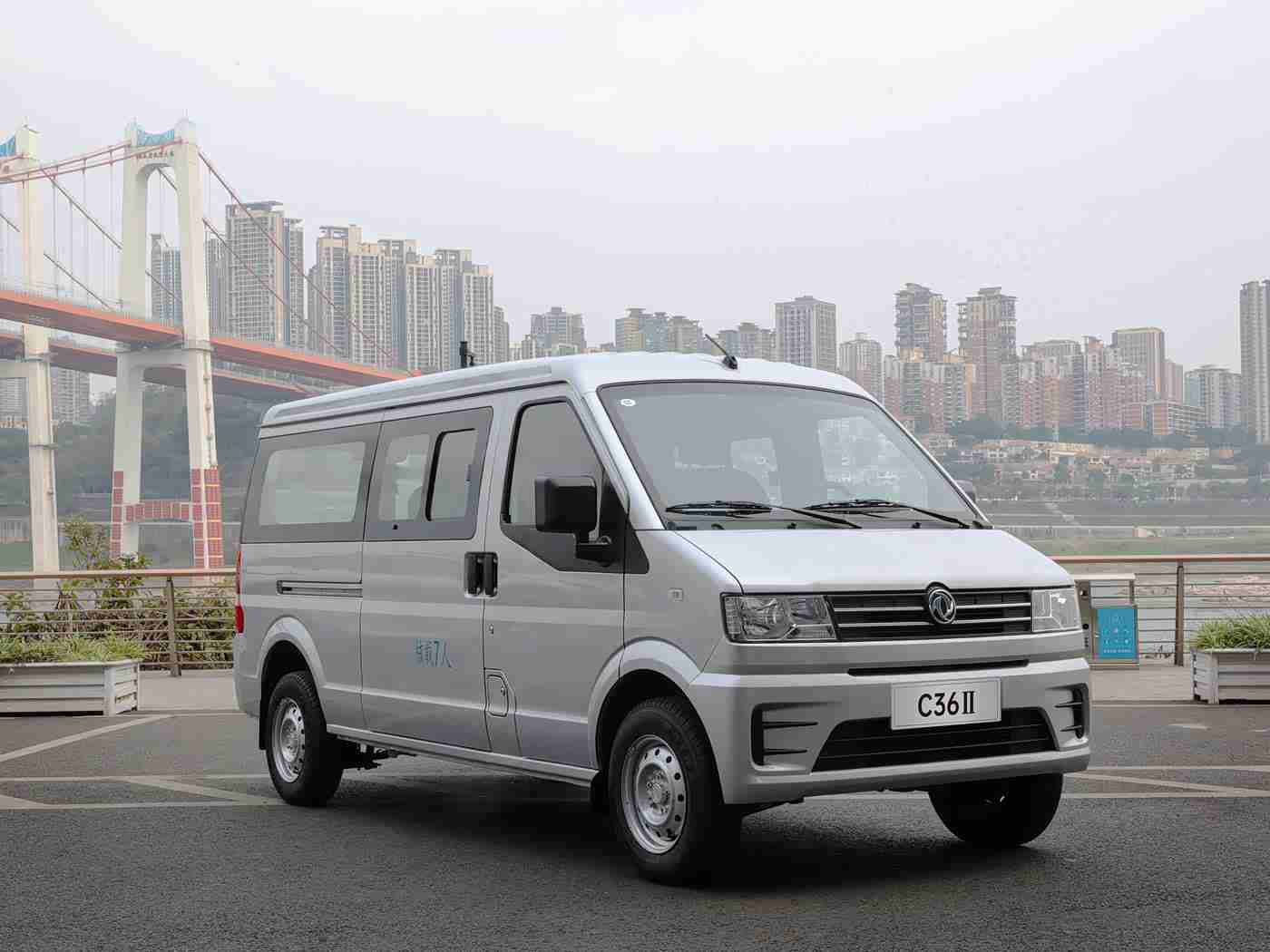 小时候农村树林日B,新能源汽车助力农村繁荣，绿色出行成农村新风尚-4