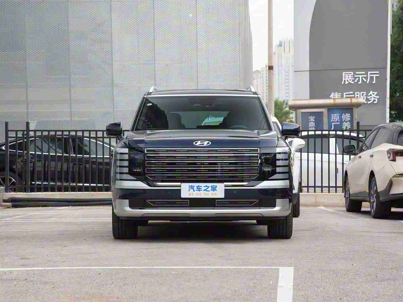 最好看2019手机中文,新能源汽车潮涌,特斯拉Model Y与宝马iX3共舞未来-5