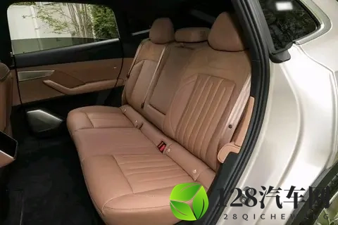 雷军:我们决定,三年之内,推出一百款车漆!-1