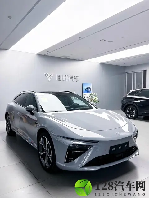 年轻人疯抢“阑尾车”：半价哪吒、12万高合，是赌徒还是清醒？-3