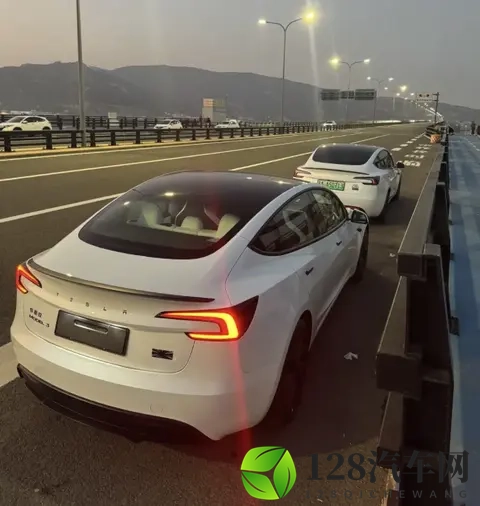 特斯拉黑标Model 3 Performance正式交付，保留专属徽章，更帅了-3