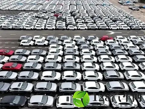 批智驾，控账期，严打虚假宣传！汽车产业的逆鳞终被触碰-1