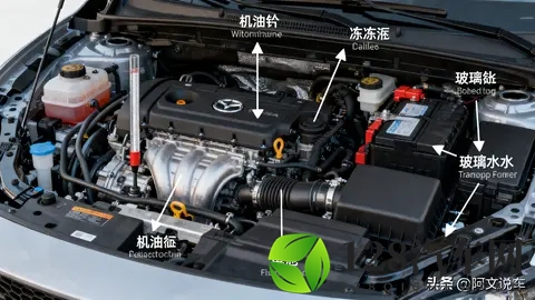 霜冻与低温的终极考验：北方车主必看的冬季用车清单-3