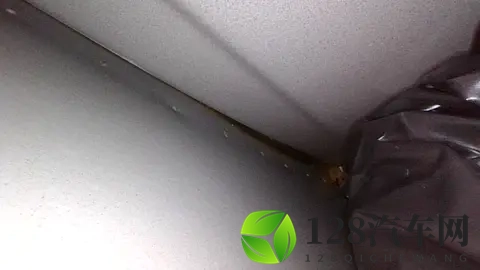 【网通社快报】比亚迪推纯电K-Car RACCO进军日本市场，铃木称其构成竞争威胁-1