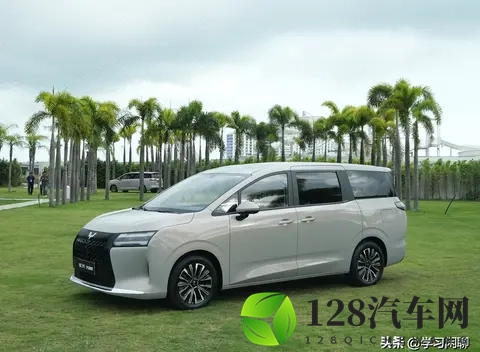 预算10万内可以闭眼入!双独悬 + 续航1100km,大7座MPV,768万起-3