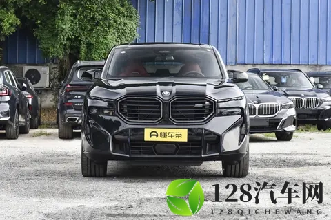 全新宝马X8登场：溜背设计引热议，智能与运动兼备瞄准中产新需求-2