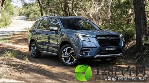 来看看澳大利亚最受欢迎的汽车-2