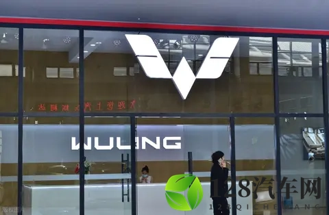 宏光 MINIEV 卖疯了,网友说:这是消费降级了,真的是这样吗?-3