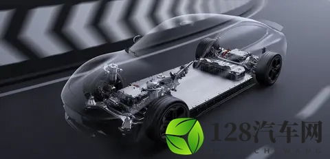 “绿化带战神”背后真相：为何频频冲草坪？专业拆解四大核心原因-1