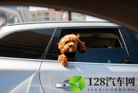 为什么坐车晕车,自己开车就不晕?-3