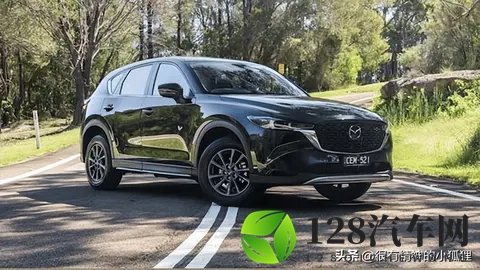 来看看澳大利亚最受欢迎的汽车-1