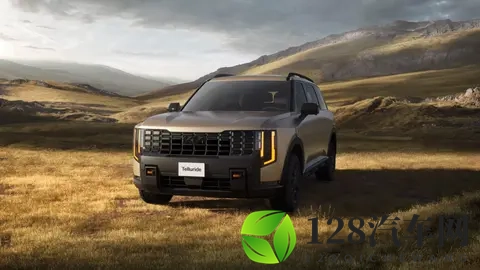 全新起亚Telluride官图发布：方正造型，新增插混版本，明年开售-2