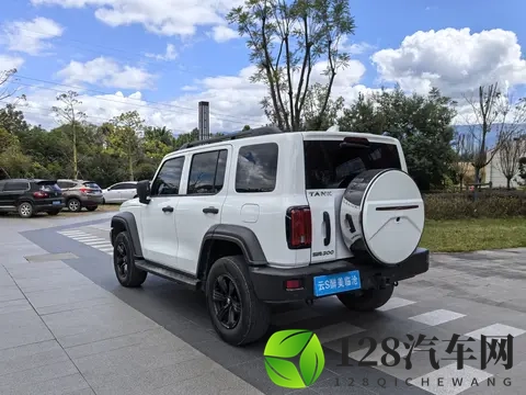 23年准新坦克300：20T挑战者，圆你越野梦！-1