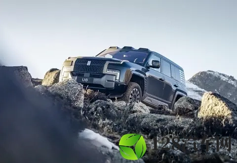 丢掉中国第一！比亚迪疲态显现、快装不下去了？-3