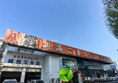 新能源购置税减半落地，泸州车友该如何把握？-1