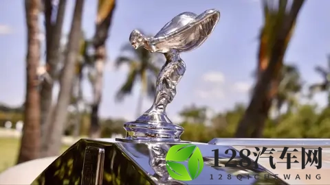 带镀金马桶的劳斯莱斯?126万欧元成交的定制传奇-3