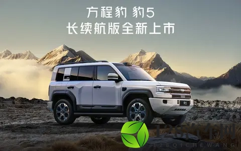 政策收紧前夜车市上演最后狂欢,谁在狂奔谁掉队?-3