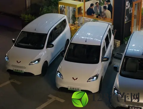 新款五菱宏光家族上市,还能再续“神车”传奇吗?-2