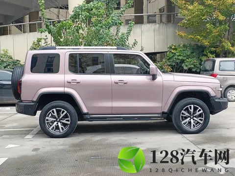 14万多拿下硬派越野！22年坦克300，圆你诗和远方-3