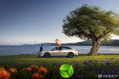 东风日产N6限时价1069万元起：当合资车企重新定义「务实」-3