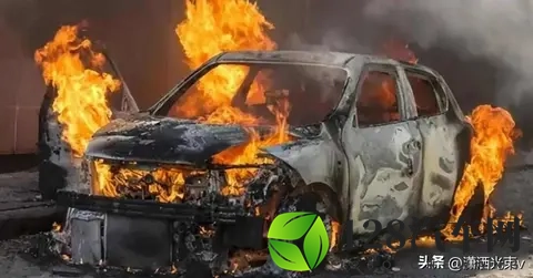 某车企狂举报自媒体，越捂越漏，公众用脚投票-2