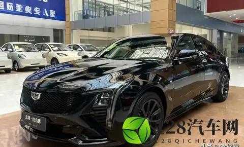 豪华B级车崩盘，捡漏还是踩坑，一场豪赌开始了-3