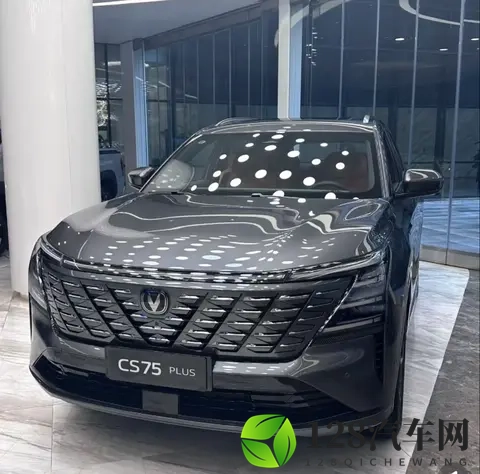 车内隐藏功能！第三个4S店都不说！-1