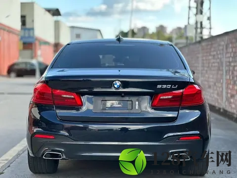 16万多拿下二手宝马5系：2019款530Li，圆你蓝天白云梦-3