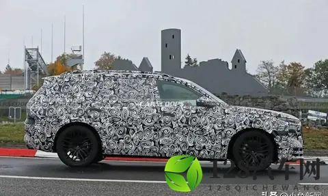 40T V8+48V轻混,460马力,660牛·米,全新旗舰级SUV你喜欢吗?-3