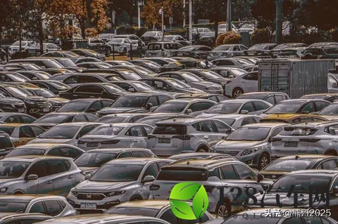 倒闭车企“烂尾车”受年轻人青睐，独特消费观引热议-1