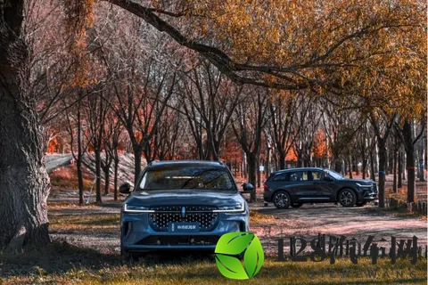 现场看测试场对比:航海家稳得像动画,分贝数据不掺水-2