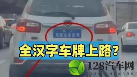 全汉字车牌上路被人举报?交警来到笑了:我真管不了-2