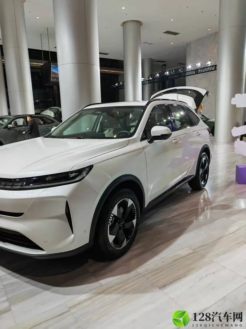 哈弗H6L正式上市：1039万起开启“为爱升舱”新旅程-1