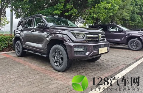 25万起，坦克400智能家用拉满，辅助驾驶雨天重庆也好用-2