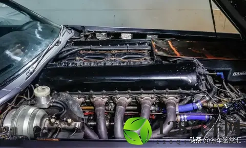 一辆名为野兽的27升V12旅行车正在拍卖，堪称疯狂-3