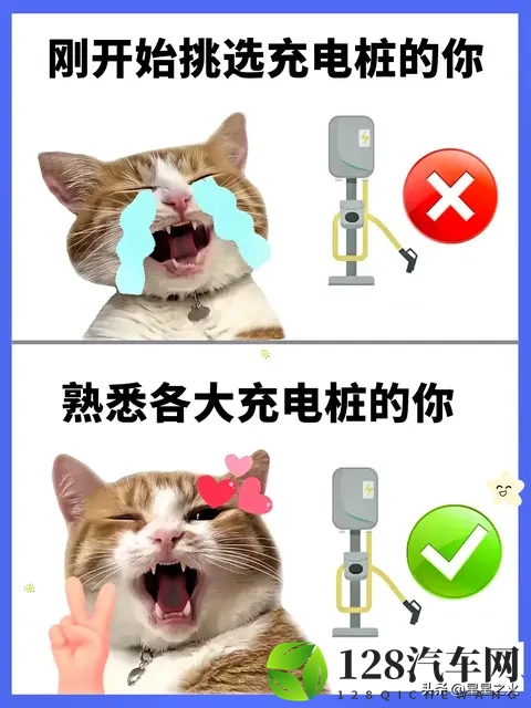 2025车检新政实测！15年以上老车免半年检，省千元成本-1