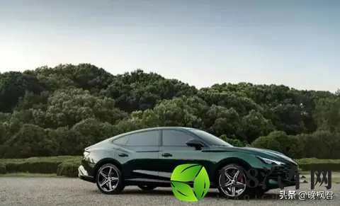 油价跳水车主静悄悄,电车吃火锅加油站长叹气,下个十年开啥车上路-1