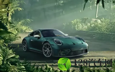 独一无二的丛林魅影：保时捷发布仅此一台的911 GT3 Touring Ocelot-1