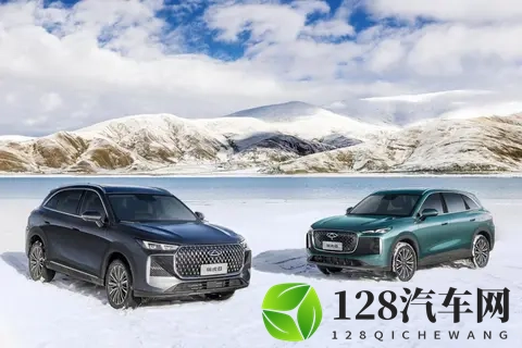 全新瑞虎8购车手册，稀缺的主流燃油SUV，推荐自动尊贵型-2