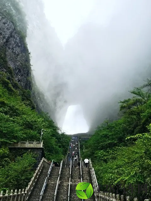 天门山惊魂一幕！汽车挑战天梯撞毁栏杆，景区回应引众怒-2