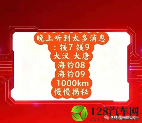 方程豹要推“镁”车，命名太硬核，品牌能扛住吗-2