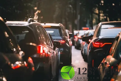 新能源神话破了？燃油车连涨4月，占比近半-1