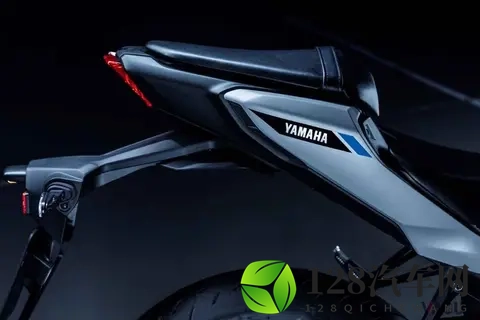 三款“250cc街头霸王” 易于驾驶，能够胜任长途旅行的各种需求-1