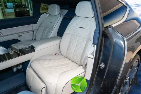 蔚来ET9地平线特别版：国产高端旗舰轿车，不输传统豪华车？-3